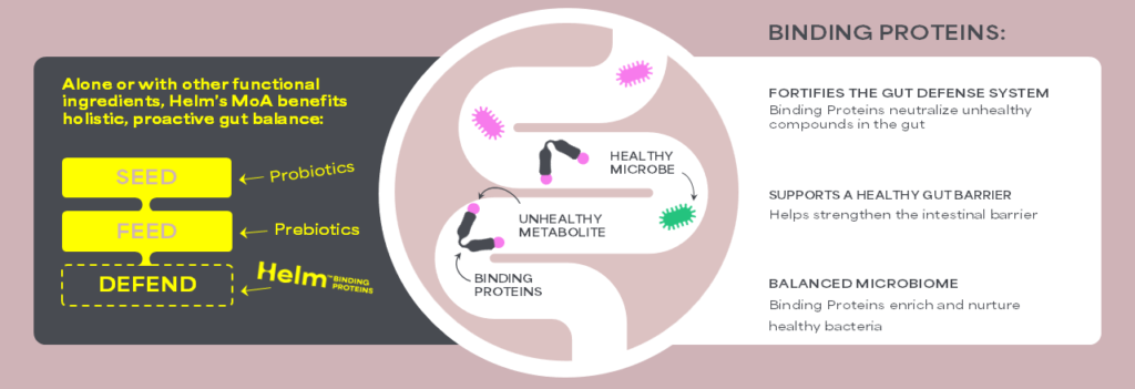bactolife binding proteins
