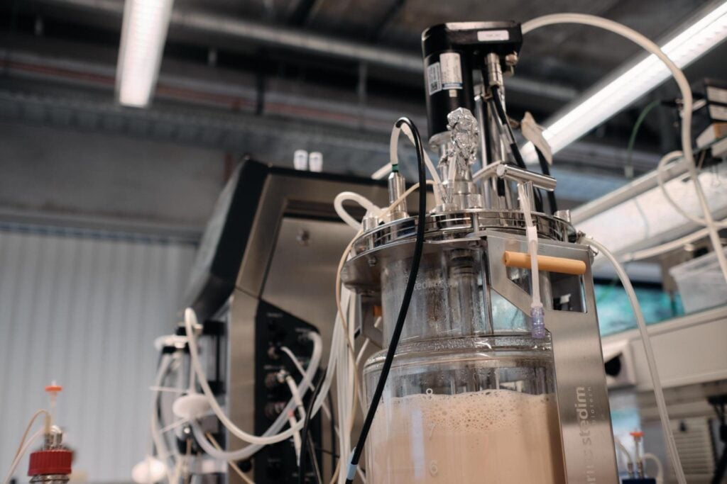 paleo precision fermentation