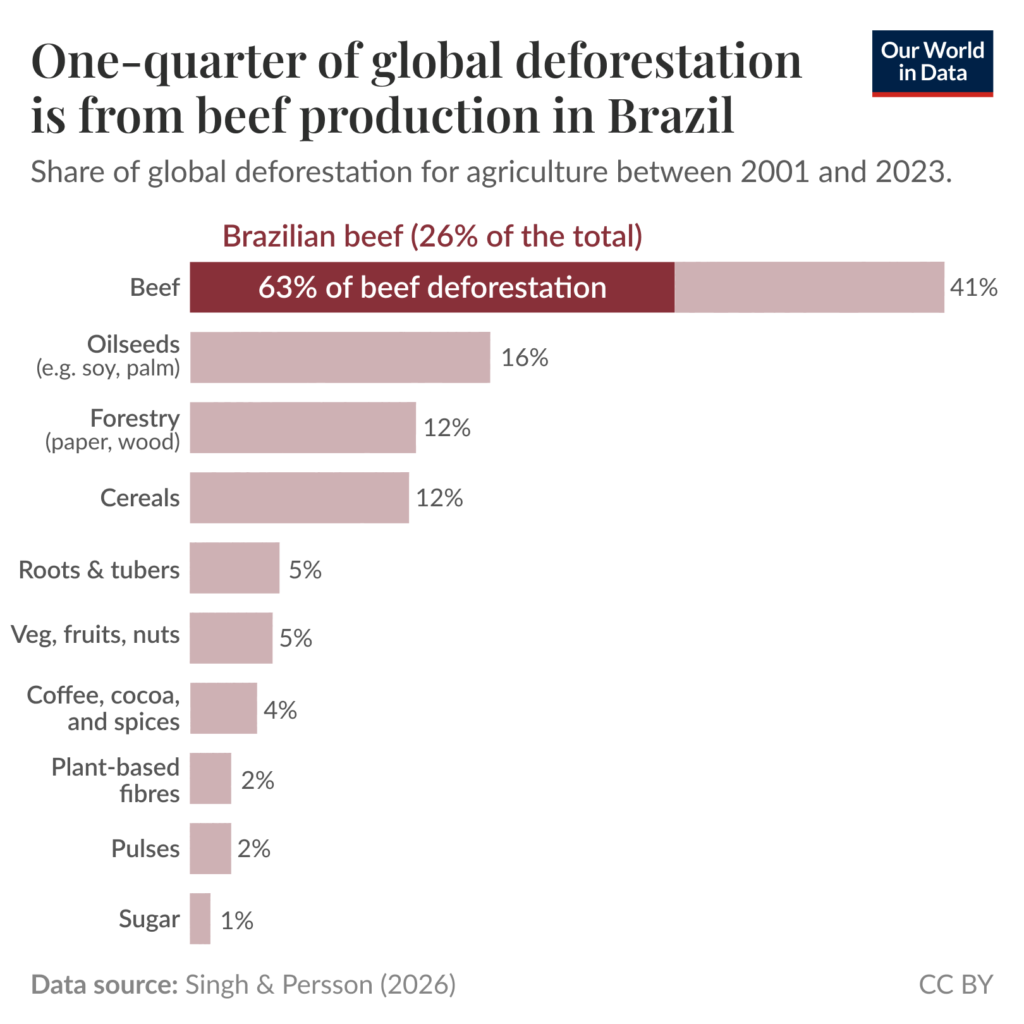 beef deforestation