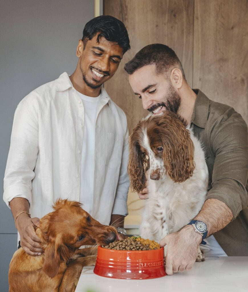 omni pet dog food