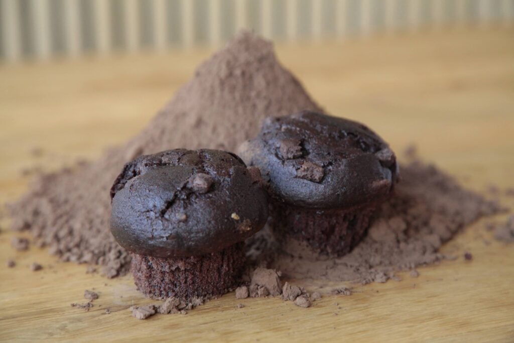 cocoa powder alternative